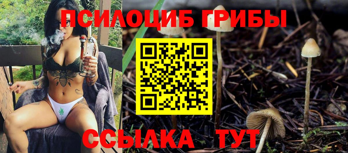 Галлюциногенные грибы MAGIC MUSHROOMS  Псилоцибиновые грибы мицелий  Городец  Вход с VPN 