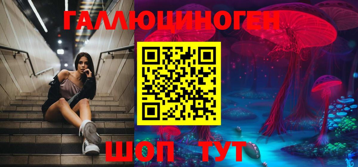 Псилоцибиновые грибы мицелий Городец